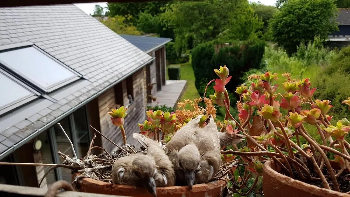 Spacieuse Maison De Village Avec Jardin Dingé Villa